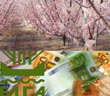 &Pi;ό&tau;&epsilon; &pi;&rho;&alpha;&gamma;&mu;&alpha;&tau;&omicron;&pi;&omicron;&iota;&epsilon;ί&tau;&alpha;&iota; &eta; &pi;&rho;ώ&tau;&eta; &pi;&lambda;&eta;&rho;&omega;&mu;ή &pi;&omicron;&rho;&iota;&sigma;&mu;ά&tau;&omega;&nu; &gamma;&iota;&alpha; &tau;&iota;&sigmaf; &zeta;&eta;&mu;&iota;έ&sigmaf; &alpha;&pi;ό &tau;&omicron;&nu; &pi;&alpha;&gamma;&epsilon;&tau;ό