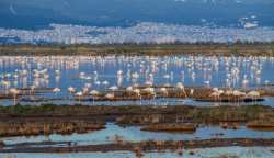 &Delta;&rho;ά&sigma;&epsilon;&iota;&sigmaf; &epsilon;&upsilon;&alpha;&iota;&sigma;&theta;&eta;&tau;&omicron;&pi;&omicron;ί&eta;&sigma;&eta;&sigmaf; &tau;&eta;&sigmaf; &nu;έ&alpha;&sigmaf; &gamma;&epsilon;&nu;&iota;ά&sigmaf; &sigma;&tau;&omicron; &delta;&upsilon;&tau;&iota;&kappa;ό &pi;&alpha;&rho;ά&kappa;&tau;&iota;&omicron; &mu;έ&tau;&omega;&pi;&omicron; &alpha;&pi;ό &tau;&eta;&nu; &Pi;&Kappa;&Mu;