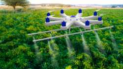 &Mu;&epsilon;ί&omega;&sigma;&eta; &chi;&rho;ή&sigma;&eta;&sigmaf; &phi;&upsilon;&tau;&omicron;&phi;&alpha;&rho;&mu;ά&kappa;&omega;&nu; &psi;&epsilon;&kappa;ά&zeta;&omicron;&nu;&tau;&alpha;&sigmaf; &mu;&epsilon; drone &sigma;&epsilon; &delta;&epsilon;&nu;&delta;&rho;ώ&delta;&epsilon;&iota;&sigmaf; &kappa;&alpha;&iota; &alpha;&nu;&omicron;&iota;&chi;&tau;έ&sigmaf; &kappa;&alpha;&lambda;&lambda;&iota;έ&rho;&gamma;&epsilon;&iota;&epsilon;&sigmaf;