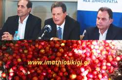 Deminimis &sigma;&tau;&alpha; &rho;&omicron;&delta;ά&kappa;&iota;&nu;&alpha;: &Tau;&iota; &alpha;&pi;&alpha;&nu;&tau;ά &omicron; &Upsilon;&pi;&Alpha;&Alpha;&Tau; &gamma;&iota;&alpha; &tau;&alpha; &pi;&omicron;&sigma;ά &kappa;&alpha;&iota; &tau;&omicron; &chi;&rho;&omicron;&nu;&iota;&kappa;ό &delta;&iota;ά&sigma;&tau;&eta;&mu;&alpha; &pi;&omicron;&upsilon; &theta;&alpha; &delta;&omicron;&theta;&omicron;ύ&nu; (&Beta;ί&nu;&tau;&epsilon;&omicron;)