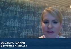 &Theta;. &Tau;&zeta;ά&kappa;&rho;&eta; : &Pi;&alpha;&rho;έ&mu;&beta;&alpha;&sigma;&eta; &sigma;&tau;&eta; &sigma;&upsilon;&nu;&epsilon;&delta;&rho;ί&alpha;&sigma;&eta; &tau;&eta;&sigmaf; &Epsilon;&pi;&iota;&tau;&rho;&omicron;&pi;ή&sigmaf; &Epsilon;&lambda;&lambda;&eta;&nu;&iota;&sigma;&mu;&omicron;ύ &tau;&eta;&sigmaf; &Delta;&iota;&alpha;&sigma;&pi;&omicron;&rho;ά&sigmaf;