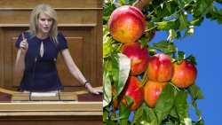 &Alpha;&nu;&alpha;&kappa;&omicron;ί&nu;&omega;&sigma;&eta; &Theta;&epsilon;&omicron;&delta;ώ&rho;&alpha;&sigmaf; &Tau;&zeta;ά&kappa;&rho;&eta; &gamma;&iota;&alpha; &tau;&iota;&sigmaf; &epsilon;&nu;&iota;&sigma;&chi;ύ&sigma;&epsilon;&iota;&sigmaf; &sigma;&tau;&iota;&sigmaf; &delta;&epsilon;&nu;&delta;&rho;&omicron;&kappa;&alpha;&lambda;&lambda;&iota;έ&rho;&gamma;&epsilon;&iota;&epsilon;&sigmaf;