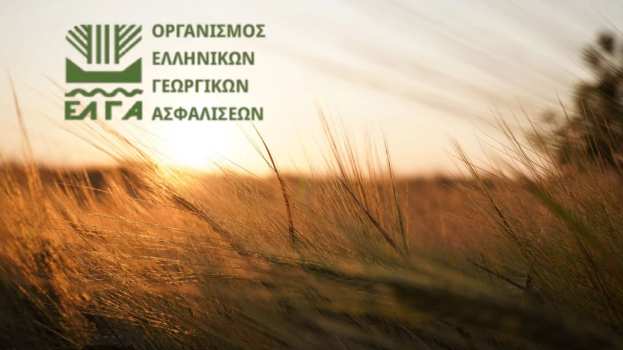 &Epsilon;&Lambda;&Gamma;&Alpha;: έ&omega;&sigmaf; 19 &Omicron;&kappa;&tau;&omega;&beta;&rho;ί&omicron;&upsilon; &omicron;&iota; &delta;&eta;&lambda;ώ&sigma;&epsilon;&iota;&sigmaf; &gamma;&iota;&alpha; &tau;&iota;&sigmaf; &zeta;&eta;&mu;&iota;έ&sigmaf; &sigma;&tau;&omicron; &Omicron;&rho;&omicron;&pi;έ&delta;&iota;&omicron; &Lambda;&alpha;&sigma;&iota;&theta;ί&omicron;&upsilon;