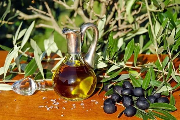 &Omicron;&rho;&theta;έ&sigmaf; &pi;&rho;&alpha;&kappa;&tau;&iota;&kappa;έ&sigmaf; &sigma;&tau;&eta;&nu; &epsilon;&lambda;&alpha;&iota;&omicron;&kappa;&alpha;&lambda;&lambda;&iota;έ&rho;&gamma;&epsilon;&iota;&alpha;