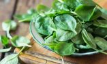 &Tau;&omicron; &sigma;&pi;&alpha;&nu;ά&kappa;&iota; &sigma;&tau;&eta; &delta;&iota;&alpha;&tau;&rho;&omicron;&phi;ή &mu;&alpha;&sigmaf; - &Alpha;&pi;ό &pi;&omicron;&iota;&epsilon;&sigmaf; &pi;&alpha;&theta;ή&sigma;&epsilon;&iota;&sigmaf; &mu;&alpha;&sigmaf; &pi;&rho;&omicron;&sigma;&tau;&alpha;&tau;&epsilon;ύ&epsilon;&iota;