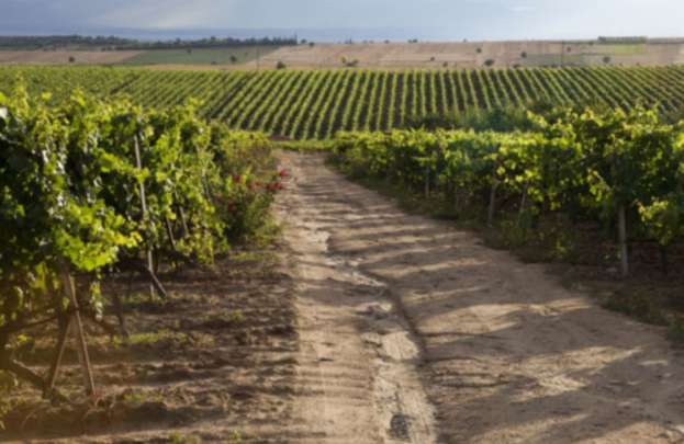 &Kappa;&Epsilon;&Omicron;&Sigma;&Omicron;&Epsilon;: &Omicron;&iota; &pi;&epsilon;&rho;&iota;&omicron;&chi;έ&sigmaf; &mu;&epsilon; &Gamma;&epsilon;&omega;&gamma;&rho;&alpha;&phi;&iota;&kappa;έ&sigmaf; &Epsilon;&nu;&delta;&epsilon;ί&xi;&epsilon;&iota;&sigmaf; &epsilon;&xi;&alpha;&kappa;&omicron;&lambda;&omicron;&upsilon;&theta;&omicron;ύ&nu; &nu;&alpha; &mu;&eta;&nu; &epsilon;&pi;&iota;&theta;&upsilon;&mu;&omicron;ύ&nu; &tau;&eta;&nu; &epsilon;&upsilon;&rho;&omega;&pi;&alpha;ϊ&kappa;ή &epsilon;&xi;&omega;&tau;&epsilon;&rho;&iota;&kappa;ή &alpha;&nu;ά&theta;&epsilon;&sigma;&eta; &tau;&eta;&sigmaf; &delta;&iota;&alpha;&chi;&epsilon;ί&rho;&iota;&sigma;ή&sigmaf; &tau;&omicron;&upsilon;&sigmaf;