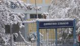 &Kappa;&epsilon;&nu;&tau;&rho;&iota;&kappa;ή &Mu;&alpha;&kappa;&epsilon;&delta;&omicron;&nu;ί&alpha;: &Sigma;&epsilon; &pi;&omicron;&iota;&epsilon;&sigmaf; &pi;&epsilon;&rho;&iota;&omicron;&chi;έ&sigmaf; &theta;&alpha; &pi;&alpha;&rho;&alpha;&mu;&epsilon;ί&nu;&omicron;&upsilon;&nu; &kappa;&lambda;&epsilon;&iota;&sigma;&tau;ά &tau;&alpha; &sigma;&chi;&omicron;&lambda;&epsilon;ί&alpha;