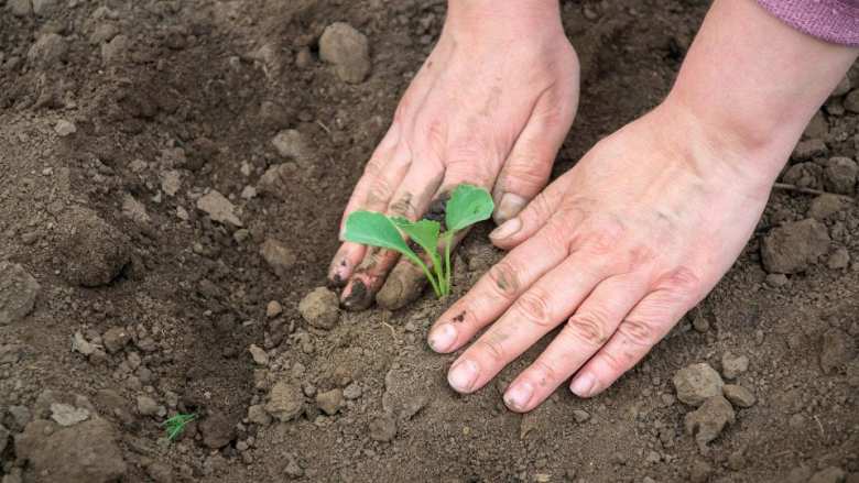 &Epsilon;&pi;&iota;&sigma;&tau;&omicron;&lambda;ή &Pi;&Omicron;&Gamma;&Epsilon;&Delta;&Upsilon;-&Epsilon;&Mu;&Delta;&Upsilon;&Delta;&Alpha;&Sigma; &pi;&rho;&omicron;&sigmaf; &alpha;&rho;&mu;ό&delta;&iota;&alpha; &upsilon;&pi;&omicron;&upsilon;&rho;&gamma;&epsilon;ί&alpha;: &Epsilon;&nu;&iota;&alpha;ί&omicron;&iota; &kappa;&alpha;&iota; &Alpha;&delta;&iota;ά&sigma;&pi;&alpha;&sigma;&tau;&omicron;&iota; &tau;ί&tau;&lambda;&omicron;&iota; &sigma;&pi;&omicron;&upsilon;&delta;ώ&nu; &mu;&epsilon;&tau;&alpha;&pi;&tau;&upsilon;&chi;&iota;&alpha;&kappa;&omicron;ύ &epsilon;&pi;&iota;&pi;έ&delta;&omicron;&upsilon; &sigma;&chi;&omicron;&lambda;ώ&nu; &Alpha;&lambda;&lambda;&omicron;&delta;&alpha;&pi;ή&sigmaf;