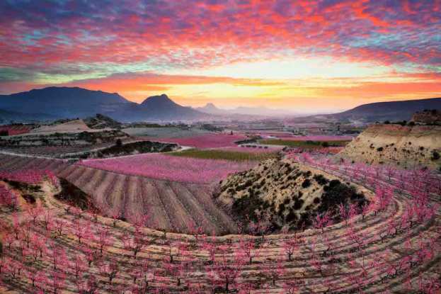 &Alpha;&nu;&theta;&iota;&sigma;&mu;έ&nu;&epsilon;&sigmaf; &rho;&omicron;&delta;&alpha;&kappa;&iota;&nu;&iota;έ&sigmaf; : &Nu;&omega;&rho;ί&tau;&epsilon;&rho;&alpha; &alpha;&pi;ό &pi;&omicron;&tau;έ ά&lambda;&lambda;&omicron;&tau;&epsilon; &omicron;&iota; &epsilon;&kappa;&delta;&eta;&lambda;ώ&sigma;&epsilon;&iota;&sigmaf; &gamma;&nu;&omega;&rho;&iota;&mu;ί&alpha;&sigmaf; &tau;&omicron;&upsilon; &kappa;&omicron;&iota;&nu;&omicron;ύ &mu;&epsilon; &tau;&eta;&nu; &phi;ύ&sigma;&eta; &sigma;&tau;&eta;&nu; &Iota;&sigma;&pi;&alpha;&nu;ί&alpha;