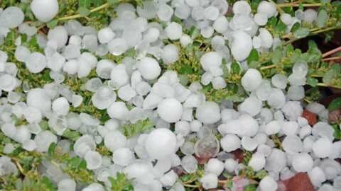 &Pi;ί&nu;&alpha;&kappa;&alpha;&sigmaf; &epsilon;&pi;&alpha;&nu;&epsilon;&kappa;&tau;ί&mu;&eta;&sigma;&eta;&sigmaf; &zeta;&eta;&mu;&iota;ώ&nu; &sigma;&epsilon; &kappa;&alpha;&lambda;&lambda;&iota;έ&rho;&gamma;&epsilon;&iota;&epsilon;&sigmaf; &alpha;&pi;ό &chi;&alpha;&lambda;&alpha;&zeta;ό&pi;&tau;&omega;&sigma;&eta; 26/04/2024 &sigma;&tau;&eta; &Delta;/&Tau;.&Kappa;. &Beta;έ&rho;&omicron;&iota;&alpha;&sigmaf;