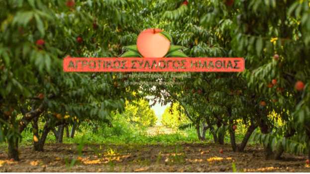 &Kappa;ά&lambda;&epsilon;&sigma;&mu;&alpha; &Alpha;&gamma;&rho;&omicron;&tau;&iota;&kappa;&omicron;ύ &Sigma;&upsilon;&lambda;&lambda;ό&gamma;&omicron;&upsilon; &Eta;&mu;&alpha;&theta;ί&alpha;&sigmaf; &sigma;&epsilon; &Gamma;&epsilon;&nu;&iota;&kappa;ή &Sigma;&upsilon;&nu;έ&lambda;&epsilon;&upsilon;&sigma;&eta; &sigma;&tau;&omicron; &Mu;&alpha;&kappa;&rho;&omicron;&chi;ώ&rho;&iota; &Eta;&mu;&alpha;&theta;ί&alpha;&sigmaf;