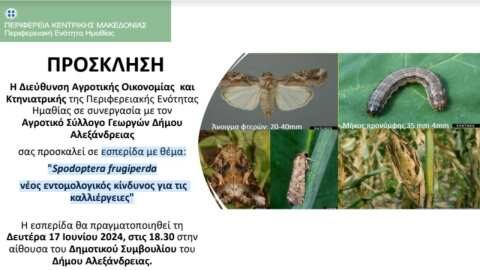 &Epsilon;&sigma;&pi;&epsilon;&rho;ί&delta;&alpha; &sigma;&tau;&eta;&nu; &Alpha;&lambda;&epsilon;&xi;ά&nu;&delta;&rho;&epsilon;&iota;&alpha; &Eta;&mu;&alpha;&theta;ί&alpha;&sigmaf; &mu;&epsilon; &theta;έ&mu;&alpha;: "Spodoptera frugiperda &nu;έ&omicron;&sigmaf; &epsilon;&nu;&tau;&omicron;&mu;&omicron;&lambda;&omicron;&gamma;&iota;&kappa;ό&sigmaf; &kappa;ί&nu;&delta;&upsilon;&nu;&omicron;&sigmaf; &gamma;&iota;&alpha; &tau;&iota;&sigmaf;  &kappa;&alpha;&lambda;&lambda;&iota;έ&rho;&gamma;&epsilon;&iota;&epsilon;&sigmaf;"