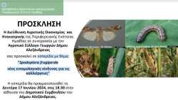 &Epsilon;&sigma;&pi;&epsilon;&rho;ί&delta;&alpha; &sigma;&tau;&eta;&nu; &Alpha;&lambda;&epsilon;&xi;ά&nu;&delta;&rho;&epsilon;&iota;&alpha; &Eta;&mu;&alpha;&theta;ί&alpha;&sigmaf; &mu;&epsilon; &theta;έ&mu;&alpha;: "Spodoptera frugiperda &nu;έ&omicron;&sigmaf; &epsilon;&nu;&tau;&omicron;&mu;&omicron;&lambda;&omicron;&gamma;&iota;&kappa;ό&sigmaf; &kappa;ί&nu;&delta;&upsilon;&nu;&omicron;&sigmaf; &gamma;&iota;&alpha; &tau;&iota;&sigmaf;  &kappa;&alpha;&lambda;&lambda;&iota;έ&rho;&gamma;&epsilon;&iota;&epsilon;&sigmaf;"