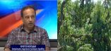 &Pi;&rho;ό&epsilon;&delta;&rho;&omicron;&sigmaf; &Alpha;&Sigma; &Eta;&mu;&alpha;&theta;ί&alpha;&sigmaf; : "Ά&mu;&epsilon;&sigma;&eta; &omicron;&iota;&kappa;&omicron;&nu;&omicron;&mu;&iota;&kappa;ή &sigma;&tau;ή&rho;&iota;&xi;&eta; &tau;&omega;&nu; &pi;&lambda;&eta;&gamma;έ&nu;&tau;&omega;&nu; &kappa;&alpha;&iota; &alpha;ύ&xi;&eta;&sigma;&eta; &tau;&eta;&sigmaf; &tau;&iota;&mu;ή&sigmaf; &tau;&omega;&nu; &sigma;&upsilon;&mu;&pi;ύ&rho;&eta;&nu;&omega;&nu; &rho;&omicron;&delta;ά&kappa;&iota;&nu;&omega;&nu; (&Beta;ί&nu;&tau;&epsilon;&omicron;)
