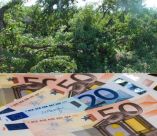 &Alpha;&sigma;&phi;ά&lambda;&iota;&sigma;&eta; &phi;&upsilon;&tau;&iota;&kappa;ή&sigmaf; &pi;&alpha;&rho;&alpha;&gamma;&omega;&gamma;ή&sigmaf;: &Alpha;&lambda;&lambda;&alpha;&gamma;έ&sigmaf; &sigma;&tau;&iota;&sigmaf; &epsilon;&iota;&sigma;&phi;&omicron;&rho;έ&sigmaf; &kappa;&alpha;&iota; &alpha;&sigma;&phi;&alpha;&lambda;&iota;&zeta;ό&mu;&epsilon;&nu;&eta; &alpha;&xi;ί&alpha; &sigma;&epsilon; &rho;&omicron;&delta;ά&kappa;&iota;&nu;&alpha; &amp; &nu;&epsilon;&kappa;&tau;&alpha;&rho;ί&nu;&iota;&alpha; - &Pi;ό&tau;&epsilon; &theta;&alpha; &gamma;ί&nu;&epsilon;&iota; &alpha;&nu;&alpha;&gamma;&gamma;&epsilon;&lambda;ί&alpha; &zeta;&eta;&mu;&iota;ά&sigmaf; &gamma;&iota;&alpha; &pi;&alpha;&gamma;&epsilon;&tau;ό &kappa;&alpha;&iota; &omicron;&iota; &epsilon;&nu;&sigma;&tau;ά&sigma;&epsilon;&iota;&sigmaf; &tau;&omega;&nu; &pi;&alpha;&rho;&alpha;&gamma;&omega;&gamma;ώ&nu; -