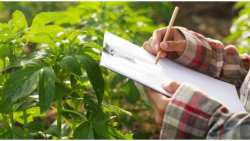 &Sigma;&upsilon;&mu;&beta;&omicron;ύ&lambda;&iota;&omicron; &upsilon;&pi;&omicron;&upsilon;&rho;&gamma;ώ&nu; &Gamma;&epsilon;&omega;&rho;&gamma;ί&alpha;&sigmaf;: &Pi;&omicron;&iota;&epsilon;&sigmaf; &omicron;&iota; &kappa;ύ&rho;&iota;&epsilon;&sigmaf; &pi;&rho;&omicron;&tau;&epsilon;&rho;&alpha;&iota;ό&tau;&eta;&tau;έ&sigmaf; &sigma;&tau;&omicron;&nu; &tau;&omicron;&mu;έ&alpha; &tau;&eta;&sigmaf; &gamma;&epsilon;&omega;&rho;&gamma;ί&alpha;&sigmaf; &kappa;&alpha;&iota; &tau;&eta;&sigmaf; &alpha;&lambda;&iota;&epsilon;ί&alpha;&sigmaf;