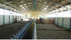 41&chi;&rho;&omicron;&nu;&omicron;&sigmaf; &kappa;&tau;&eta;&nu;&omicron;&tau;&rho;ό&phi;&omicron;&sigmaf; &beta;&rho;έ&theta;&eta;&kappa;&epsilon; &nu;&epsilon;&kappa;&rho;ό&sigmaf; &mu;έ&sigma;&alpha; &sigma;&tau;&omicron; &pi;&omicron;&iota;&mu;&nu;&iota;&omicron;&sigma;&tau;ά&sigma;&iota;&omicron; &tau;&omicron;&upsilon;