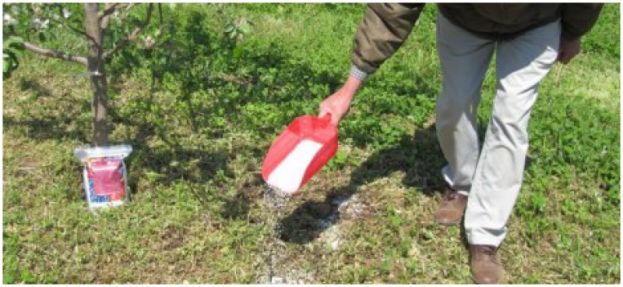 &Alpha;&nu;ά&gamma;&kappa;&eta; &tau;&omega;&nu; &delta;έ&nu;&tau;&rho;&omega;&nu; &sigma;&epsilon; ά&zeta;&omega;&tau;&omicron; &alpha;&nu;ά&lambda;&omicron;&gamma;&alpha; &tau;&eta;&nu; &epsilon;&pi;&omicron;&chi;ή - &Delta;&iota;&alpha;&phi;&upsilon;&lambda;&lambda;&iota;&kappa;&omicron;ί &psi;&epsilon;&kappa;&alpha;&sigma;&mu;&omicron;ί &gamma;&iota;&alpha; &kappa;&alpha;&lambda;ύ&tau;&epsilon;&rho;&eta; &theta;&rho;έ&psi;&eta;