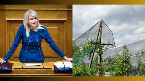 &Epsilon;&rho;ώ&tau;&eta;&sigma;&eta; &sigma;&tau;&eta; &Beta;&omicron;&upsilon;&lambda;ή &gamma;&iota;&alpha; &tau;&eta;&nu; &alpha;&kappa;ύ&rho;&omega;&sigma;&eta; &tau;&omicron;&upsilon; &delta;&iota;&epsilon;&upsilon;&rho;&upsilon;&mu;έ&nu;&omicron;&upsilon; &Epsilon;&theta;&nu;&iota;&kappa;&omicron;ύ &Pi;&rho;&omicron;&gamma;&rho;ά&mu;&mu;&alpha;&tau;&omicron;&sigmaf; &Chi;&alpha;&lambda;&alpha;&zeta;&iota;&kappa;ή&sigmaf; &Pi;&rho;&omicron;&sigma;&tau;&alpha;&sigma;ί&alpha;&sigmaf;