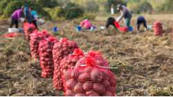 &Tau;ά&sigma;&omicron;&sigmaf; &Mu;&pi;&alpha;&rho;&tau;&zeta;ώ&kappa;&alpha;&sigmaf;: &Sigma;&upsilon;&mu;&phi;&omega;&nu;ί&alpha; &Epsilon;&lambda;&lambda;ά&delta;&alpha;&sigmaf;-&Alpha;&iota;&gamma;ύ&pi;&tau;&omicron;&upsilon; &gamma;&iota;&alpha; 5000 &epsilon;&rho;&gamma;ά&tau;&epsilon;&sigmaf; &gamma;&eta;&sigmaf;!