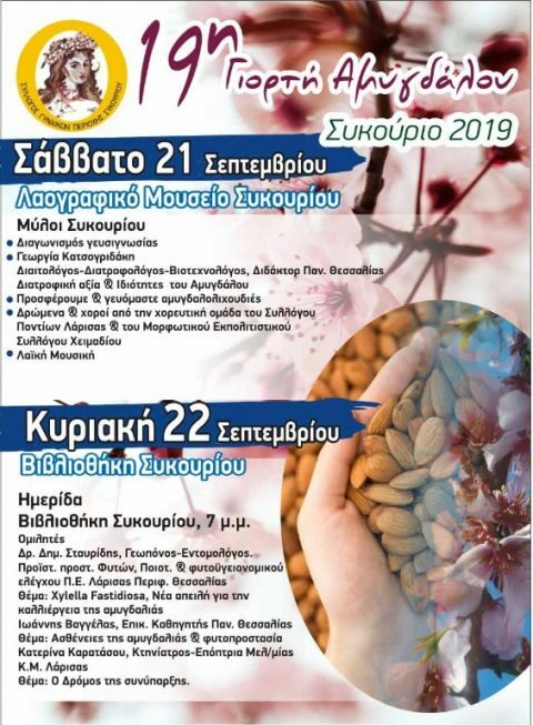 19&eta; &Gamma;&iota;&omicron;&rho;&tau;ή &Alpha;&mu;ύ&gamma;&delta;&alpha;&lambda;&omicron;&upsilon; &sigma;&tau;&omicron; &Sigma;&upsilon;&kappa;&omicron;ύ&rho;&iota;&omicron;