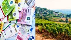 Έ&kappa;&tau;&alpha;&kappa;&tau;&omicron;&iota; &pi;ό&rho;&omicron;&iota; 20 &epsilon;&kappa;&alpha;&tau;. &epsilon;&upsilon;&rho;ώ &gamma;&iota;&alpha; &Omicron;&Lambda;&Omicron;&Upsilon;&Sigma; &tau;&omicron;&upsilon;&sigmaf; &alpha;&mu;&pi;&epsilon;&lambda;&omicron;&upsilon;&rho;&gamma;&omicron;ύ&sigmaf; &pi;&omicron;&upsilon; &alpha;&nu;&tau;&iota;&mu;&epsilon;&tau;&omega;&pi;ί&zeta;&omicron;&upsilon;&nu; &omicron;&iota;&kappa;&omicron;&nu;&omicron;&mu;&iota;&kappa;έ&sigmaf; &delta;&upsilon;&sigma;&kappa;&omicron;&lambda;ί&epsilon;&sigmaf; &sigma;&tau;&eta; &Gamma;&alpha;&lambda;&lambda;ί&alpha;