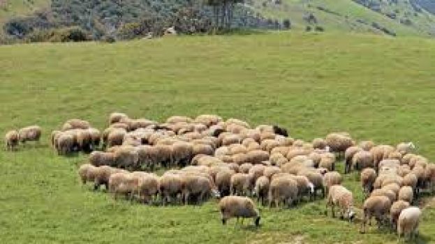 &Mu;έ&chi;&rho;&iota; 18 &Iota;&omicron;&upsilon;&nu;ί&omicron;&upsilon; &omicron;&iota; &alpha;&iota;&tau;ή&sigma;&epsilon;&iota;&sigmaf;  &gamma;&iota;&alpha; &tau;&eta;&nu; &Epsilon;&xi;&iota;&sigma;&omega;&tau;&iota;&kappa;ή &Alpha;&pi;&omicron;&zeta;&eta;&mu;ί&omega;&sigma;&eta; έ&tau;&omicron;&upsilon;&sigmaf; 2019