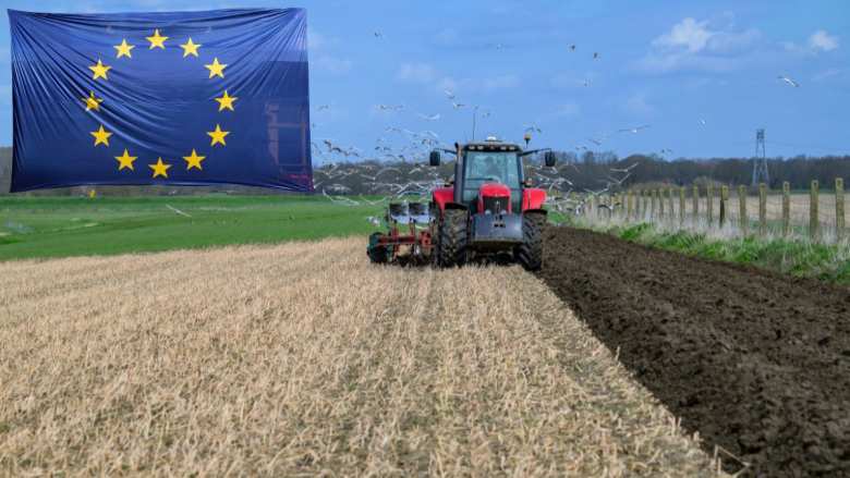 &Pi;&rho;ώ&tau;&eta; &epsilon;&pi;ί&sigma;&kappa;&epsilon;&psi;&eta; &tau;&omicron;&upsilon; &Upsilon;&pi;&Alpha;&Alpha;&Tau;, &Mu;&alpha;&rho;&gamma;&alpha;&rho;ί&tau;&eta; &Sigma;&chi;&omicron;&iota;&nu;ά &sigma;&tau;&iota;&sigmaf; &Beta;&rho;&upsilon;&xi;έ&lambda;&lambda;&epsilon;&sigmaf; &ndash; &Delta;&iota;&mu;&epsilon;&rho;&epsilon;ί&sigmaf; &sigma;&upsilon;&nu;&alpha;&nu;&tau;ή&sigma;&epsilon;&iota;&sigmaf; &mu;&epsilon; &Epsilon;&upsilon;&rho;&omega;&pi;&alpha;ί&omicron;&upsilon;&sigmaf; &Epsilon;&pi;&iota;&tau;&rho;ό&pi;&omicron;&upsilon;&sigmaf; &kappa;&alpha;&iota; &epsilon;&pi;&alpha;&phi;έ&sigmaf; &mu;&epsilon; &epsilon;&upsilon;&rho;&omega;&beta;&omicron;&upsilon;&lambda;&epsilon;&upsilon;&tau;έ&sigmaf;