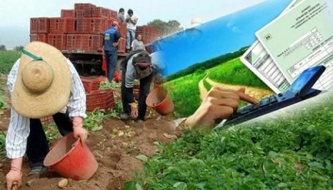 &Alpha;&lambda;&lambda;&alpha;&gamma;έ&sigmaf; &sigma;&tau;&omicron;&nu; &tau;&rho;ό&pi;&omicron; &upsilon;&pi;&omicron;&lambda;&omicron;&gamma;&iota;&sigma;&mu;&omicron;ύ &alpha;&sigma;&phi;&alpha;&lambda;&iota;&sigma;&tau;&iota;&kappa;ώ&nu; &epsilon;&iota;&sigma;&phi;&omicron;&rho;ώ&nu; &tau;&omega;&nu; &alpha;&gamma;&rho;&omicron;&tau;ώ&nu; &kappa;&alpha;&iota; &epsilon;&pi;&alpha;&gamma;&gamma;&epsilon;&lambda;&mu;&alpha;&tau;&iota;ώ&nu;