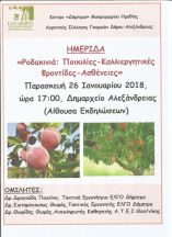 &Eta;&mu;&epsilon;&rho;ί&delta;&alpha; &gamma;&iota;&alpha; &tau;&eta; &Rho;&omicron;&delta;&alpha;&kappa;&iota;&nu;&iota;ά - &Pi;&omicron;&iota;&kappa;&iota;&lambda;ί&epsilon;&sigmaf;, &kappa;&alpha;&lambda;&lambda;&iota;&epsilon;&rho;&gamma;&eta;&tau;&iota;&kappa;έ&sigmaf; &phi;&rho;&omicron;&nu;&tau;ί&delta;&epsilon;&sigmaf; &kappa;&alpha;&iota; &alpha;&sigma;&theta;έ&nu;&epsilon;&iota;&epsilon;&sigmaf;