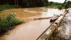&Kappa;&upsilon;&kappa;&lambda;&omicron;&phi;&omicron;&rho;&iota;&alpha;&kappa;ά &pi;&rho;&omicron;&beta;&lambda;ή&mu;&alpha;&tau;&alpha; &sigma;&epsilon; &epsilon;&pi;&alpha;&rho;&chi;&iota;&alpha;&kappa;έ&sigmaf; &omicron;&delta;&omicron;ύ&sigmaf; &sigma;&tau;&eta; &Chi;&alpha;&lambda;&kappa;&iota;&delta;&iota;&kappa;ή ά&phi;&eta;&sigma;&epsilon; &pi;ί&sigma;&omega; &eta; &kappa;&alpha;&kappa;&omicron;&kappa;&alpha;&iota;&rho;ί&alpha;