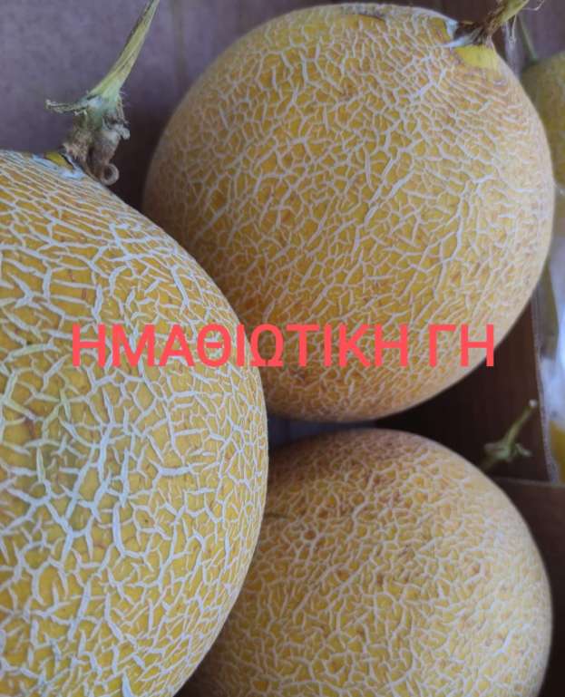 &Pi;&epsilon;&pi;ό&nu;&iota;:&Epsilon;ί&nu;&alpha;&iota; &phi;&rho;&omicron;ύ&tau;&omicron; ή &lambda;&alpha;&chi;&alpha;&nu;&iota;&kappa;ό-&Pi;&omega;&sigmaf; &tau;&omicron; &epsilon;&pi;&iota;&lambda;έ&gamma;&omicron;&upsilon;&mu;&epsilon; &kappa;&alpha;&iota; &tau;&iota; &delta;&iota;&alpha;&tau;&rho;&omicron;&phi;&iota;&kappa;ά &omicron;&phi;έ&lambda;&eta; έ&chi;&epsilon;&iota;