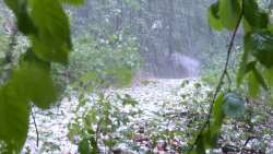 Έ&rho;&chi;&omicron;&nu;&tau;&alpha;&iota; &iota;&sigma;&chi;&upsilon;&rho;έ&sigmaf; &beta;&rho;&omicron;&chi;έ&sigmaf; &kappa;&alpha;&iota; &chi;&alpha;&lambda;&alpha;&zeta;&omicron;&pi;&tau;ώ&sigma;&epsilon;&iota;&sigmaf; - &Pi;&omicron;&iota;&epsilon;&sigmaf; &pi;&epsilon;&rho;&iota;&omicron;&chi;έ&sigmaf; &theta;&alpha; &epsilon;&pi;&eta;&rho;&epsilon;&alpha;&sigma;&tau;&omicron;ύ&nu; &alpha;&pi;ό &tau;&eta;&nu; &kappa;&alpha;&kappa;&omicron;&kappa;&alpha;&iota;&rho;ί&alpha; | &Alpha;&gamma;&rho;&omicron;&tau;&iota;&kappa;ά &nu;έ&alpha; &kappa;&alpha;&iota; &epsilon;&iota;&delta;ή&sigma;&epsilon;&iota;&sigmaf; imathiotikigi.gr