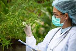 &Sigma;&epsilon; &pi;&omicron;&iota;&epsilon;&sigmaf; &pi;&epsilon;&rho;&iota;&pi;&tau;ώ&sigma;&epsilon;&iota;&sigmaf; &sigma;&upsilon;&nu;&tau;&alpha;&gamma;&omicron;&gamma;&rho;&alpha;&phi;&epsilon;ί&tau;&alpha;&iota; &eta; &phi;&alpha;&rho;&mu;&alpha;&kappa;&epsilon;&upsilon;&tau;&iota;&kappa;ή &kappa;ά&nu;&nu;&alpha;&beta;&eta;