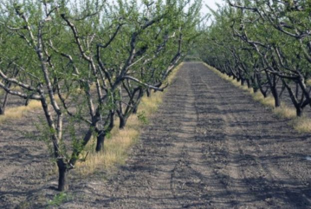 &Mu;έ&theta;&omicron;&delta;&omicron;&iota; &kappa;&alpha;&iota; &nu;έ&epsilon;&sigmaf; &delta;&upsilon;&nu;&alpha;&tau;ό&tau;&eta;&tau;&epsilon;&sigmaf; &delta;&upsilon;&sigma;&epsilon;&xi;ό&nu;&tau;&omega;&tau;&omega;&nu; &zeta;&iota;&zeta;&alpha;&nu;ί&omega;&nu; &sigma;&tau;&iota;&sigmaf; &delta;&epsilon;&nu;&delta;&rho;ώ&delta;&epsilon;&iota;&sigmaf; &kappa;&alpha;&lambda;&lambda;&iota;έ&rho;&gamma;&epsilon;&iota;&epsilon;&sigmaf;