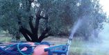 &Delta;&omicron;&lambda;&omega;&mu;&alpha;&tau;&iota;&kappa;&omicron;ί &psi;&epsilon;&kappa;&alpha;&sigma;&mu;&omicron;ί &kappa;&alpha;&tau;ά &tau;&omicron;&upsilon; &delta;ά&kappa;&omicron;&upsilon; &alpha;&pi;ό &tau;&eta;&nu; &Pi;&epsilon;&rho;&iota;&phi;έ&rho;&epsilon;&iota;&alpha; &sigma;&tau;&omicron;&upsilon;&sigmaf; &Delta;ή&mu;&omicron;&upsilon;&sigmaf; &Alpha;&gamma;&iota;ά&sigmaf;, &Tau;&upsilon;&rho;&nu;ά&beta;&omicron;&upsilon; &kappa;&alpha;&iota; &Tau;&epsilon;&mu;&pi;ώ&nu;