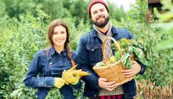 &Alpha;&upsilon;&xi;ά&nu;&omicron;&nu;&tau;&alpha;&iota; &sigma;&epsilon; 1.524 &omicron;&iota; &delta;&iota;&kappa;&alpha;&iota;&omicron;ύ&chi;&omicron;&iota; &Nu;έ&omicron;&iota; &Gamma;&epsilon;&omega;&rho;&gamma;&omicron;ί &sigma;&tau;&eta; &Theta;&epsilon;&sigma;&sigma;&alpha;&lambda;ί&alpha; - &Epsilon;&nu;ί&sigma;&chi;&upsilon;&sigma;&eta; έ&omega;&sigmaf; 40.000 &epsilon;&upsilon;&rho;ώ &alpha;&nu;ά &delta;&iota;&kappa;&alpha;&iota;&omicron;ύ&chi;&omicron;