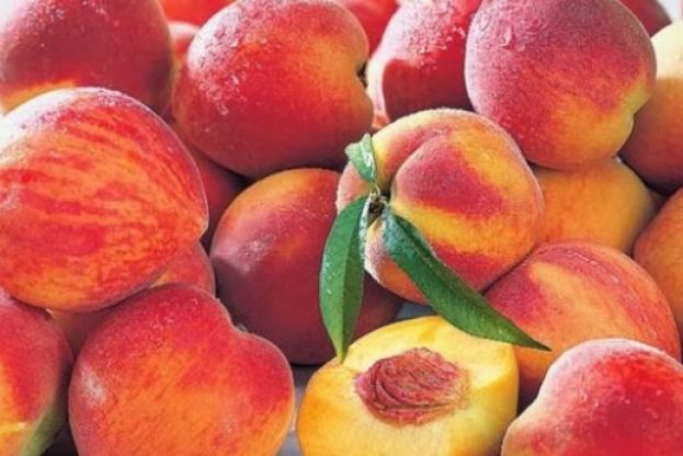 &Beta;&epsilon;&lambda;ό&pi;&omicron;&upsilon;&lambda;&omicron;&sigmaf; &pi;&rho;&omicron;&sigmaf; &Upsilon;&pi;&Alpha;&Alpha;&Tau; : Ά&mu;&epsilon;&sigma;&eta; &kappa;&alpha;&tau;&alpha;&beta;&omicron;&lambda;ή &ldquo;De minimis&rdquo; &kappa;&alpha;&iota; &epsilon;&nu;&iota;&sigma;&chi;ύ&sigma;&epsilon;&omega;&nu; &gamma;&iota;&alpha; &ldquo;Covid-19&rdquo; &sigma;&tau;&alpha; &rho;&omicron;&delta;ά&kappa;&iota;&nu;&alpha;