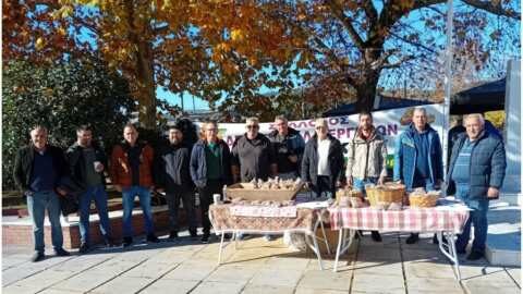 &Sigma;&tau;ή&rho;&iota;&xi;&eta; &kappa;&alpha;&iota; &delta;ί&kappa;&alpha;&iota;&epsilon;&sigmaf; &alpha;&pi;&omicron;&zeta;&eta;&mu;&iota;ώ&sigma;&epsilon;&iota;&sigmaf; &zeta;&eta;&tau;&omicron;ύ&nu; &omicron;&iota; &alpha;&mu;&upsilon;&gamma;&delta;&alpha;&lambda;&omicron;&pi;&alpha;&rho;&alpha;&gamma;&omega;&gamma;&omicron;ί &tau;&eta;&sigmaf; &Epsilon;&lambda;&alpha;&sigma;&sigma;ό&nu;&alpha;&sigmaf; | &Alpha;&gamma;&rho;&omicron;&tau;&iota;&kappa;ά &nu;έ&alpha; &kappa;&alpha;&iota; &epsilon;&iota;&delta;ή&sigma;&epsilon;&iota;&sigmaf; imathiotikigi.gr
