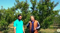 &Kappa;&alpha;&rho;&pi;ό&delta;&epsilon;&sigma;&eta; &nu;&epsilon;&kappa;&tau;&alpha;&rho;&iota;&nu;&iota;ώ&nu;: &Gamma;&iota;&alpha; &tau;&alpha; &theta;&epsilon;&alpha;&mu;&alpha;&tau;&iota;&kappa;ά &alpha;&pi;&omicron;&tau;&epsilon;&lambda;έ&sigma;&mu;&alpha;&tau;&alpha; &mu;&epsilon; &tau;&eta;&nu; &epsilon;&phi;&alpha;&rho;&mu;&omicron;&gamma;ή Pro Action &mu;&iota;&lambda;ά&epsilon;&iota; &omicron; &Beta;&omicron;&rho;&gamma;&iota;ά&delta;&eta;&sigmaf; &Chi;&rho;ή&sigma;&tau;&omicron;&sigmaf; (&Beta;ί&nu;&tau;&epsilon;&omicron;)