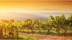 &Eta; &Iota;&sigma;&pi;&alpha;&nu;&iota;&kappa;ή &sigma;&upsilon;&gamma;&kappa;&omicron;&mu;&iota;&delta;ή &alpha;&nu;&alpha;&mu;έ&nu;&epsilon;&tau;&alpha;&iota; &nu;&alpha; &epsilon;ί&nu;&alpha;&iota; &pi;&epsilon;&rho;ί&pi;&omicron;&upsilon; 38 &epsilon;&kappa;&alpha;&tau;&omicron;&mu;&mu;ύ&rho;&iota;&alpha; &epsilon;&kappa;&alpha;&tau;ό&lambda;&iota;&tau;&rho;&alpha;, &iota;&sigma;&omicron;&delta;ύ&nu;&alpha;&mu;&eta; &mu;&epsilon; &tau;&eta;&nu; &pi;&epsilon;&rho;&sigma;&iota;&nu;ή