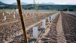 &Nu;έ&epsilon;&sigmaf; &Pi;&omicron;&iota;&kappa;&iota;&lambda;ί&epsilon;&sigmaf; &Epsilon;&lambda;&iota;ά&sigmaf; &sigma;&tau;&eta;&nu; &Epsilon;&lambda;&lambda;ά&delta;&alpha;: &Gamma;&epsilon;&nu;&epsilon;&tau;&iota;&kappa;ή &Tau;&alpha;&upsilon;&tau;&omicron;&pi;&omicron;ί&eta;&sigma;&eta; &kappa;&alpha;&iota; &Phi;&upsilon;&tau;&omicron;ϋ&gamma;&epsilon;&iota;&omicron;&nu;&omicron;&mu;&iota;&kappa;ό&sigmaf; Έ&lambda;&epsilon;&gamma;&chi;&omicron;&sigmaf;