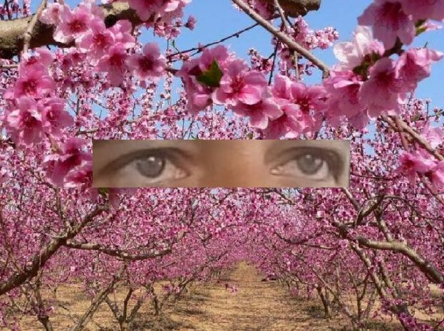 Agro&Mu;&alpha;&tau;&iota;έ&sigmaf;.... &Gamma;&iota;&alpha; έ&nu;&alpha;&nu; &alpha;&gamma;&rho;ό&tau;&eta; &amp; &kappa;&tau;&eta;&nu;&omicron;&tau;&rho;ό&phi;&omicron; &pi;&rho;&omega;&tau;&alpha;&gamma;&omega;&nu;&iota;&sigma;&tau;ή &tau;&eta;&sigmaf; &Epsilon;&lambda;&lambda;&eta;&nu;&iota;&kappa;ή&sigmaf; &Upsilon;&pi;&alpha;ί&theta;&rho;&omicron;&upsilon;