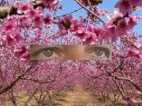 Agro&Mu;&alpha;&tau;&iota;έ&sigmaf;.... &Gamma;&iota;&alpha; έ&nu;&alpha;&nu; &alpha;&gamma;&rho;ό&tau;&eta; &amp; &kappa;&tau;&eta;&nu;&omicron;&tau;&rho;ό&phi;&omicron; &pi;&rho;&omega;&tau;&alpha;&gamma;&omega;&nu;&iota;&sigma;&tau;ή &tau;&eta;&sigmaf; &Epsilon;&lambda;&lambda;&eta;&nu;&iota;&kappa;ή&sigmaf; &Upsilon;&pi;&alpha;ί&theta;&rho;&omicron;&upsilon;