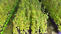 &Kappa;&alpha;&lambda;&lambda;&iota;&epsilon;&rho;&gamma;&epsilon;ί&sigmaf; &Alpha;&kappa;&tau;&iota;&nu;ί&delta;&iota;&alpha;? &Tau;&omicron; &Nu;έ&omicron; &Upsilon;&pi;&omicron;&kappa;&epsilon;ί&mu;&epsilon;&nu;&omicron; BOUNTY &epsilon;ί&nu;&alpha;&iota; &epsilon;&delta;ώ &gamma;&iota;&alpha; &nu;&alpha; &alpha;&lambda;&lambda;ά&xi;&epsilon;&iota; &tau;&alpha; &delta;&epsilon;&delta;&omicron;&mu;έ&nu;&alpha;!