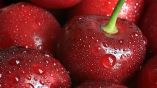 &Tau;&alpha; &omicron;&phi;έ&lambda;&eta; &pi;&omicron;&upsilon; &pi;&rho;&omicron;&sigma;&phi;έ&rho;&omicron;&upsilon;&nu; &sigma;&tau;&eta;&nu; &upsilon;&gamma;&epsilon;ί&alpha; &mu;&alpha;&sigmaf; &tau;&alpha; &kappa;&epsilon;&rho;ά&sigma;&iota;&alpha;