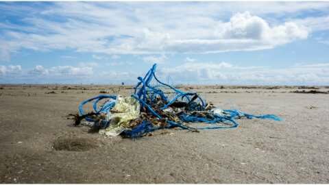 &Mu;&epsilon;ί&omega;&sigma;&eta; &tau;&omega;&nu; &theta;&alpha;&lambda;ά&sigma;&sigma;&iota;&omega;&nu; &alpha;&pi;&omicron;&rho;&rho;&iota;&mu;&mu;ά&tau;&omega;&nu; &sigma;&tau;&iota;&sigmaf; &alpha;&kappa;&tau;έ&sigmaf; &tau;&eta;&sigmaf; &Epsilon;&Epsilon; &kappa;&alpha;&tau;ά &sigma;&chi;&epsilon;&delta;ό&nu; &tau;&omicron; έ&nu;&alpha; &tau;&rho;ί&tau;&omicron;