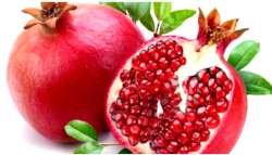 &Gamma;&nu;&omega;&rho;ί&zeta;&alpha;&tau;&epsilon; &gamma;&iota;&alpha; &tau;&iota;&sigmaf; &epsilon;&upsilon;&epsilon;&rho;&gamma;&epsilon;&tau;&iota;&kappa;έ&sigmaf; &iota;&delta;&iota;ό&tau;&eta;&tau;&epsilon;&sigmaf; &tau;&omicron;&upsilon; &rho;&omicron;&delta;&iota;&omicron;ύ;