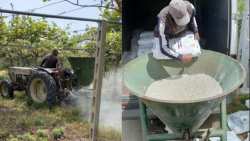 &Tau;&alpha; &Omicron;&phi;έ&lambda;&eta; &tau;&omicron;&upsilon; &Zeta;&epsilon;ό&lambda;&iota;&theta;&omicron;&upsilon; &sigma;&tau;&eta; &Gamma;&epsilon;&omega;&rho;&gamma;ί&alpha;