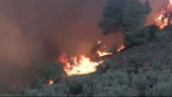 &Alpha;&lambda;&epsilon;&xi;&alpha;&nu;&delta;&rho;&omicron;ύ&pi;&omicron;&lambda;&eta;: &Epsilon;&nu;&tau;&omicron;&pi;ί&sigma;&tau;&eta;&kappa;&alpha;&nu; 18 &sigma;&omicron;&rho;&omicron;ί &sigma;&tau;&omicron;&nu; Ά&beta;&alpha;&nu;&tau;&alpha;